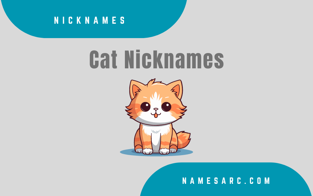 Cat Nicknames