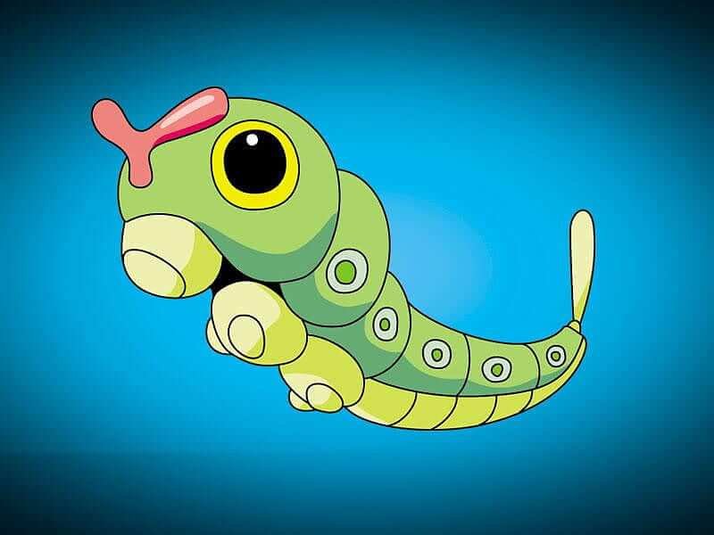 Caterpillar Pokmon Name