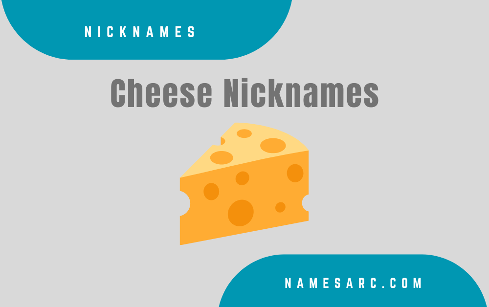 300+ Best and Cool Cheese Nicknames For you - Namesarc