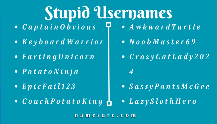 Unique Stupid Usernames