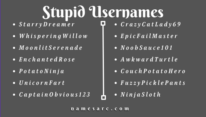 Stupid Usernames For Instagram