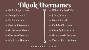 600+ Tiktok Usernames Ideas for You - Namesarc