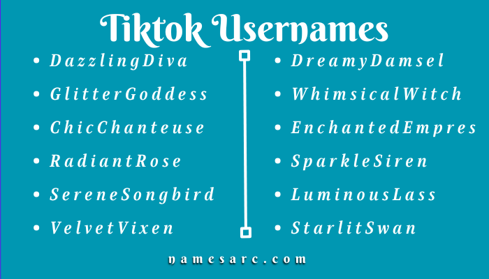 600+ Tiktok Usernames Ideas for You - Namesarc